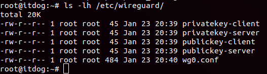 Wireguard ls server